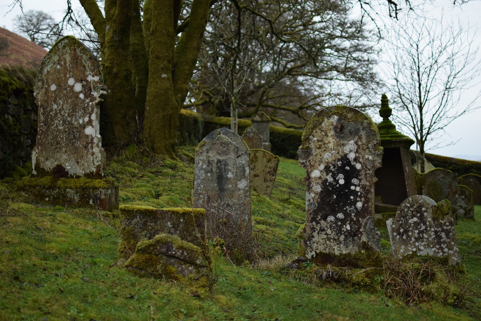 cemetery-3090124_1920